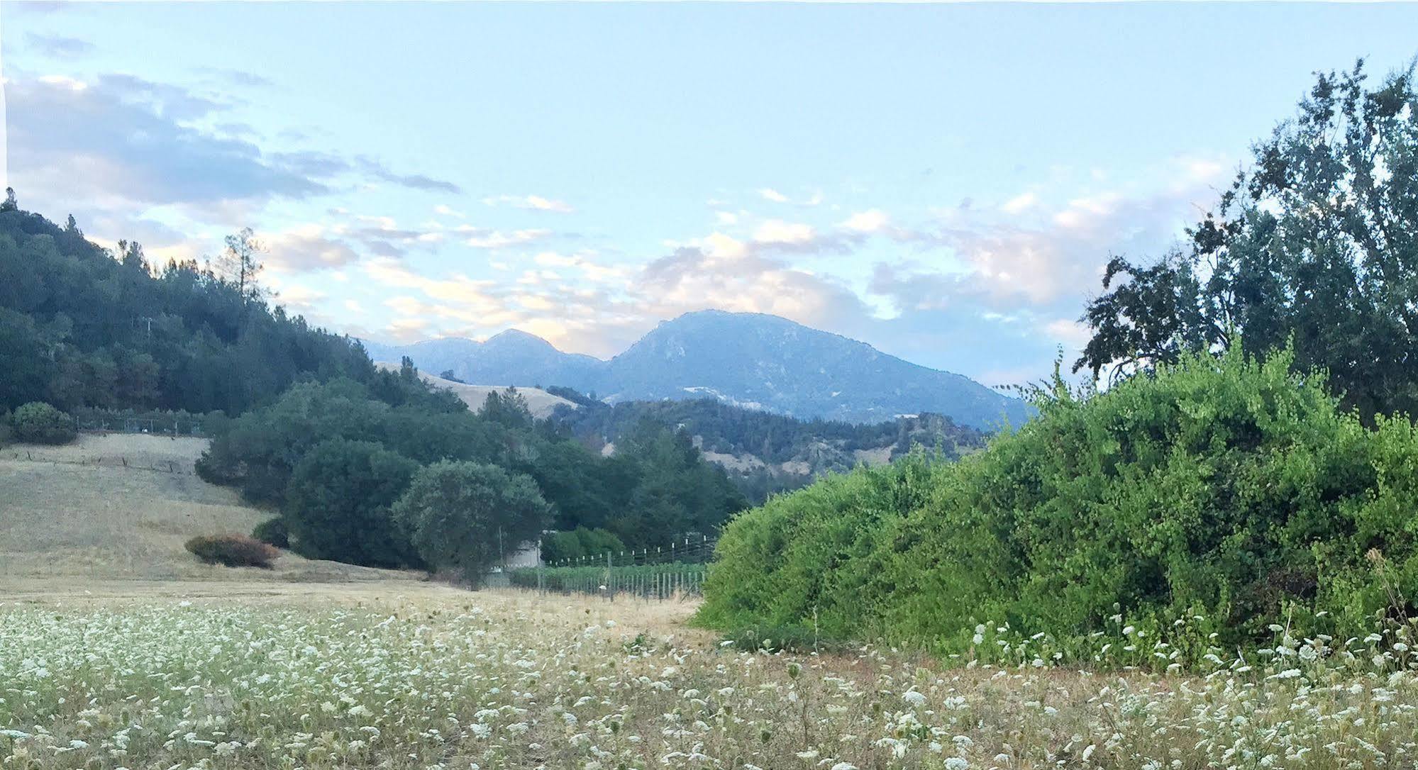 Villa Mimosa Calistoga Kültér fotó