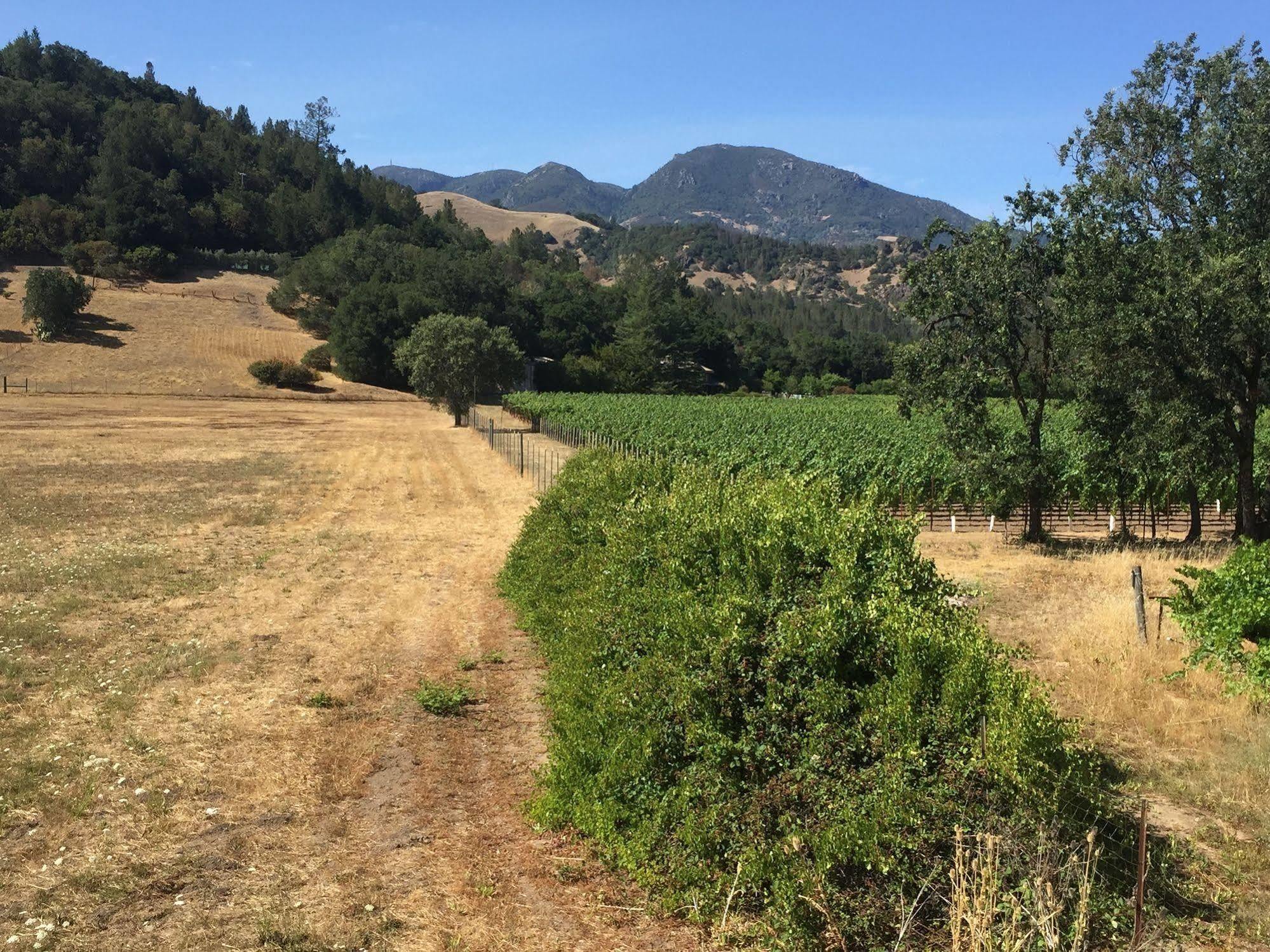 Villa Mimosa Calistoga Kültér fotó